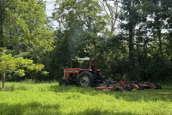 Triple J Dirt Works LLC triple j dirt work brush hogging services